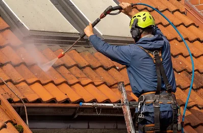 Démoussage et hydrofuge de toiture à Manthelan